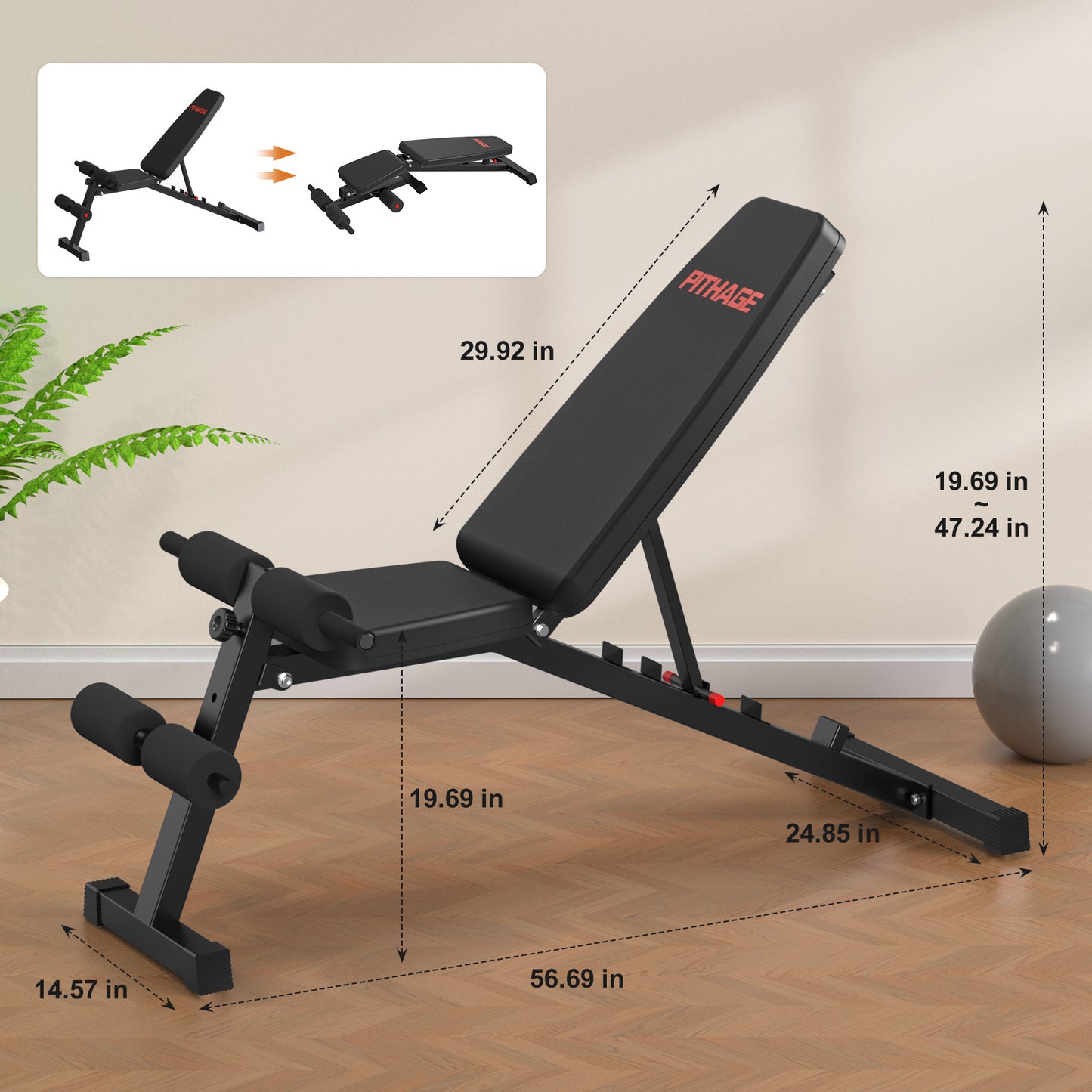 Foldable & Adjustable Workout Bench for Home Gym Strength Training