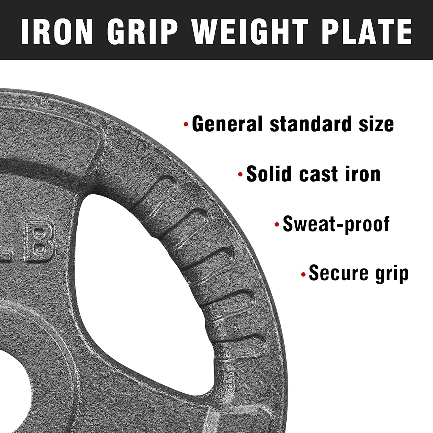 PITHAGE 2-inch Standard Grip Weight Plates Cast Iron Strength Training for Barbell -   Vigbody